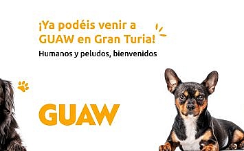 BANNER_NOTICIA_GUAW_V1_Mesa de trabajo 1